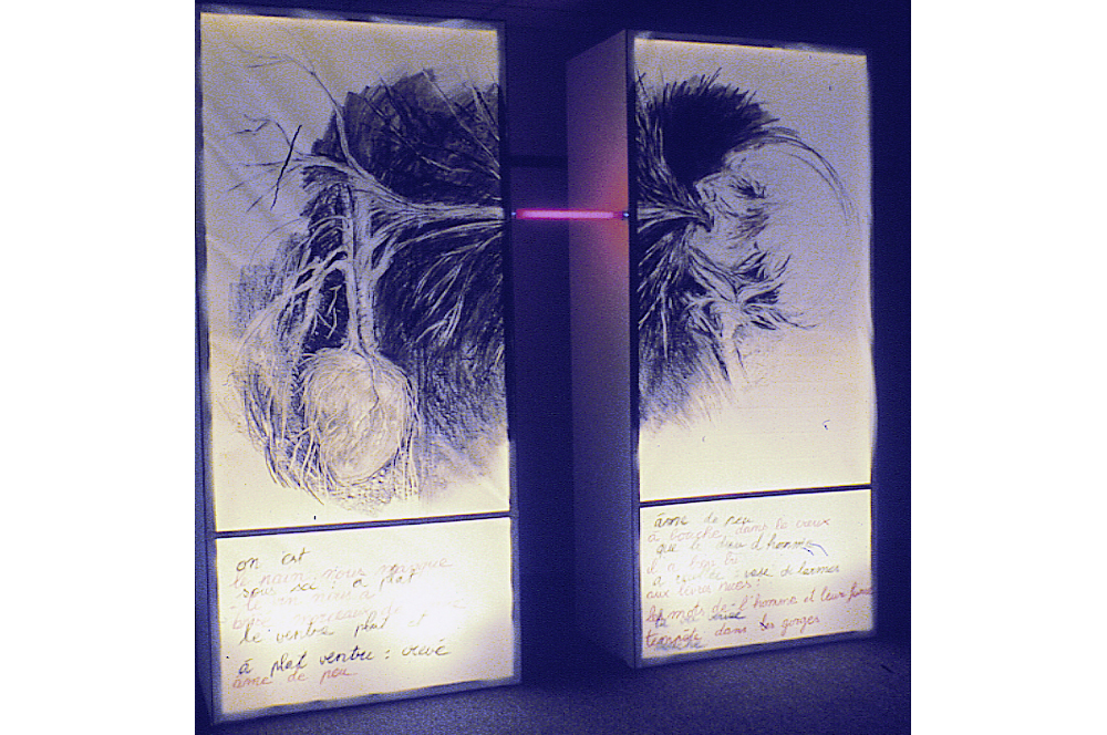 Christine Palmieri » Le crachecœur